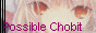 -- possible chobit